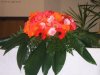 KiGo 10_14: Blumenschmuck im Apostelbereich Schorr