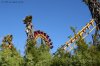 Jugendtag in Südafrika - Ein Tag im Freizeitpark I